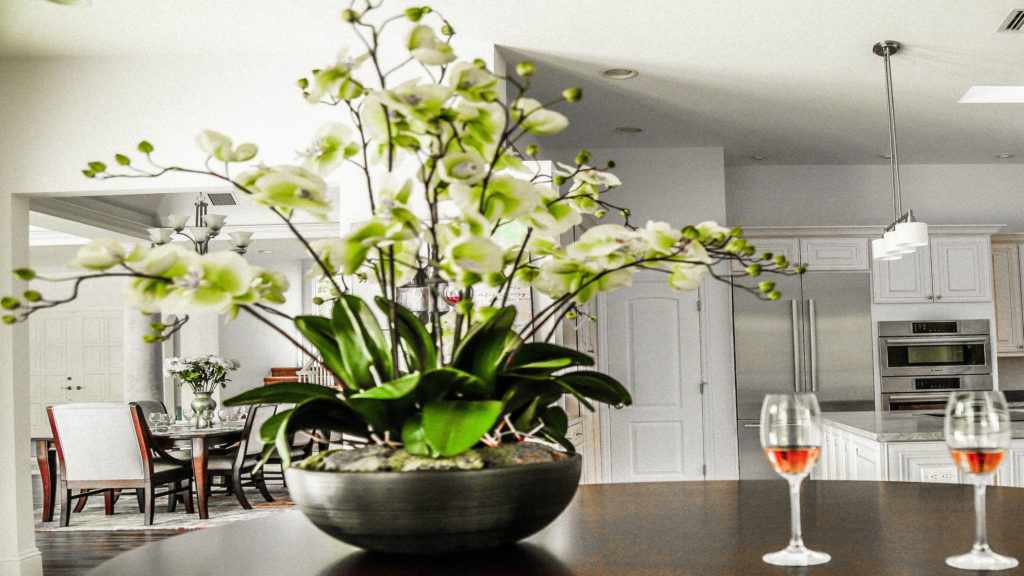 Des plante pour mieux respirer
